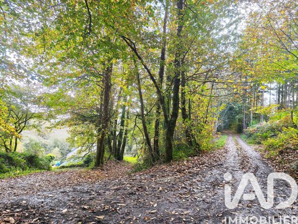 Maison à vendre 6 pièces 240 m² Mellac