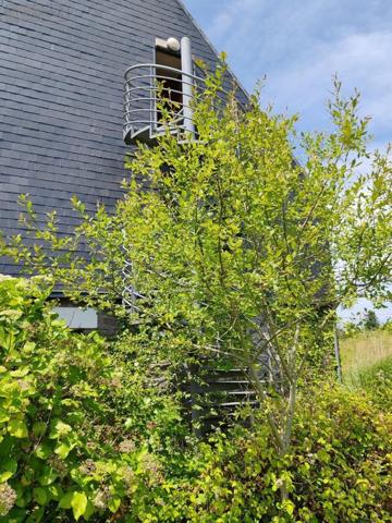 Immeuble à vendre à Plounéour-Ménez dans le Finistère (29410), ref : 29107-2782
