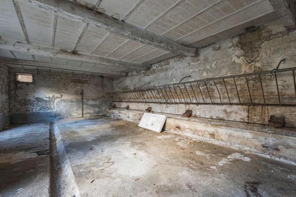 Corps de ferme, maison et dépendances