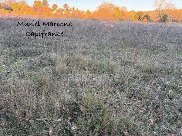 Terrain agricole à vendre 5800 m2 CADENET (84)
