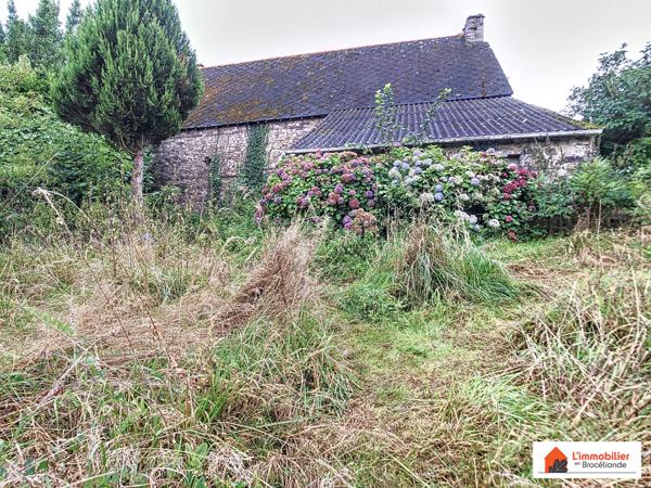 Longère à rénover sur 8 300m²