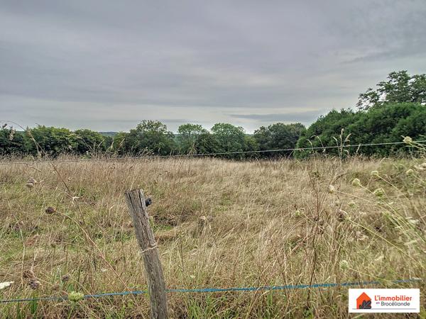 Longère à rénover sur 8 300m²