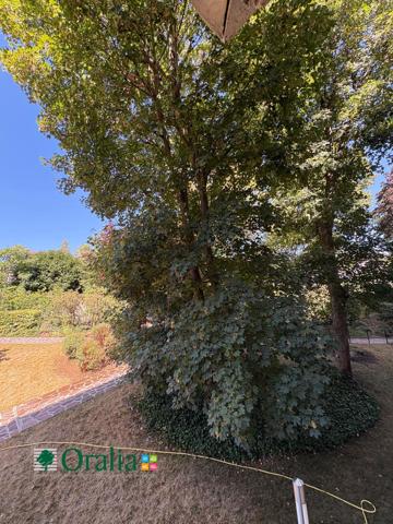 Appartement · Location Suresnes (92150) 4 pièces · 104m²