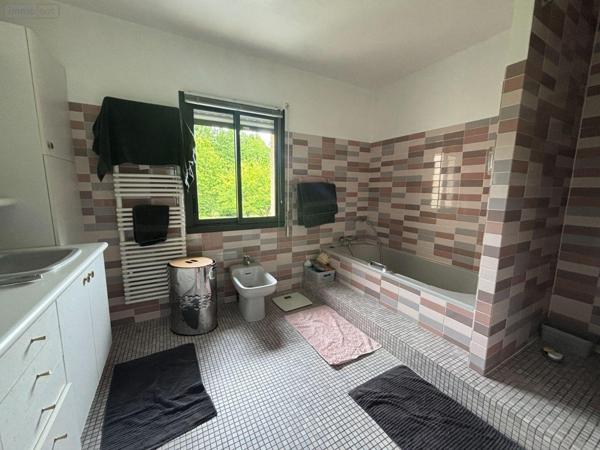 Maison individuelle à louer à Noyal-Châtillon-sur-Seiche en Ille-et-Vilaine (35230), ref : 35129-6536