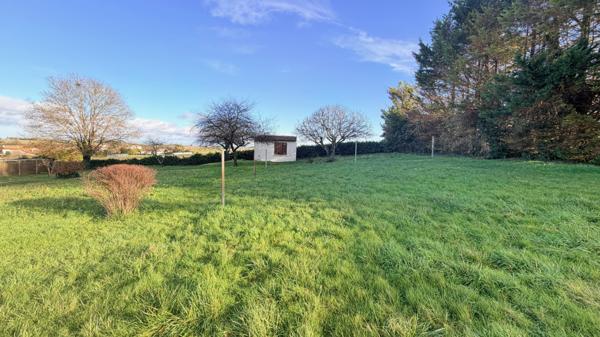 Saint-Georges-de-Didonne (17110) 

A SAINT GEORGES DE DIDONNE A 4 KM DE LA PLAGE