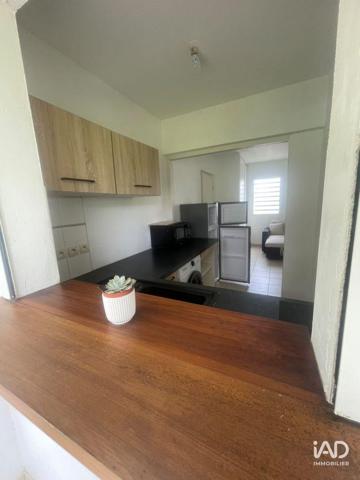 Location appartement 2 pièces 38 m² Petit-Bourg