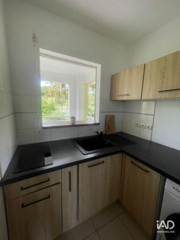 Location appartement 2 pièces 38 m² Petit-Bourg