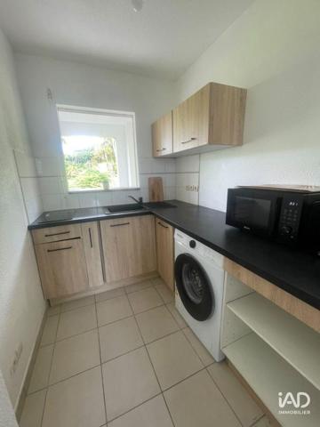 Location appartement 2 pièces 38 m² Petit-Bourg