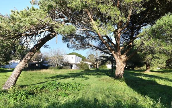 Maison à vendre    8 pièces •  Les Portes-en-Ré