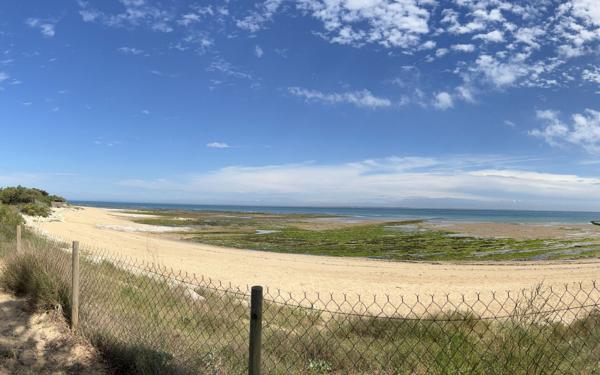 Maison à vendre    8 pièces •  Les Portes-en-Ré