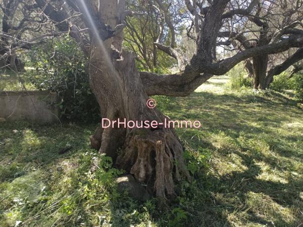 Maison à vendre 3 pièces de 52 m²