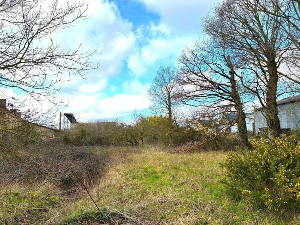 Terrain à usage professionnel à vendre à Bréal-sous-Montfort en Ille-et-Vilaine (35310), ref : JS/459