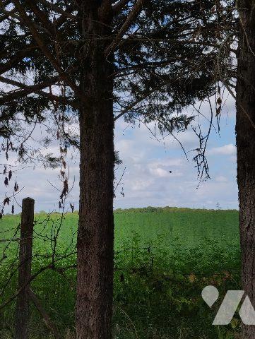 MAISON DE CAMPAGNE A FINIR DE RENOVER