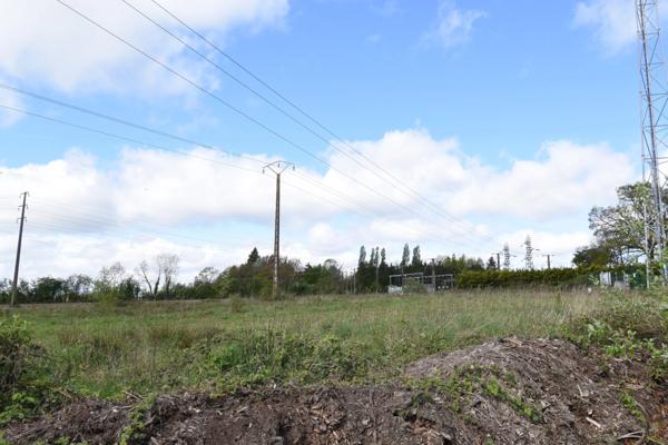 Entrepôt /Local/bureau à vendre LA FERTE MACE (61)