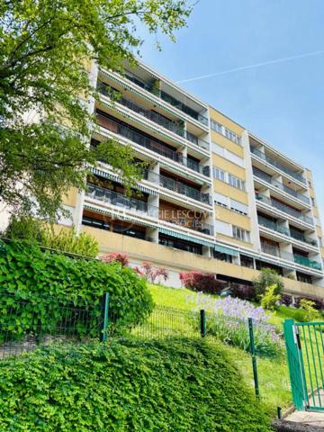Appartement à vendre à Sainte-Foy-lès-Lyon (69110)