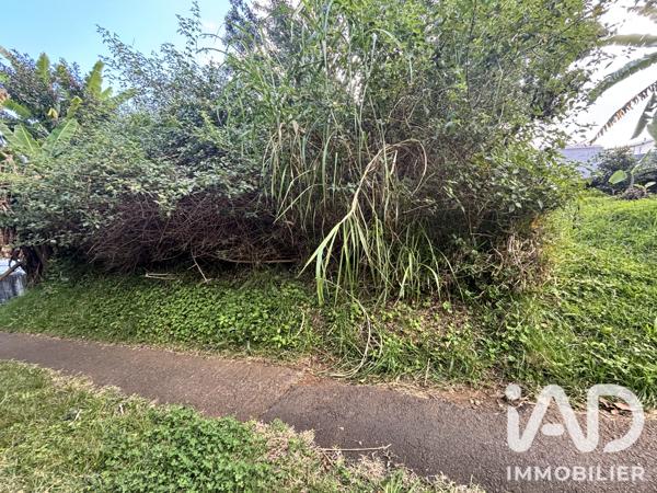 Terrain à vendre 450 m² Le Tampon