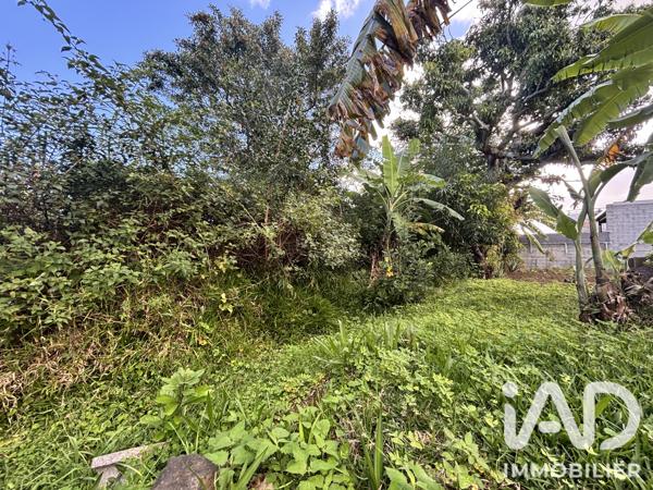 Terrain à vendre 450 m² Le Tampon