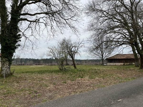 Terrain à vendre 99 000 € Taller 1681 m² DPE