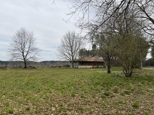 Terrain à vendre 99 000 € Taller 1681 m² DPE