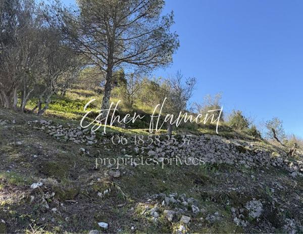 Maison avec vue , 2 Chambres et studio