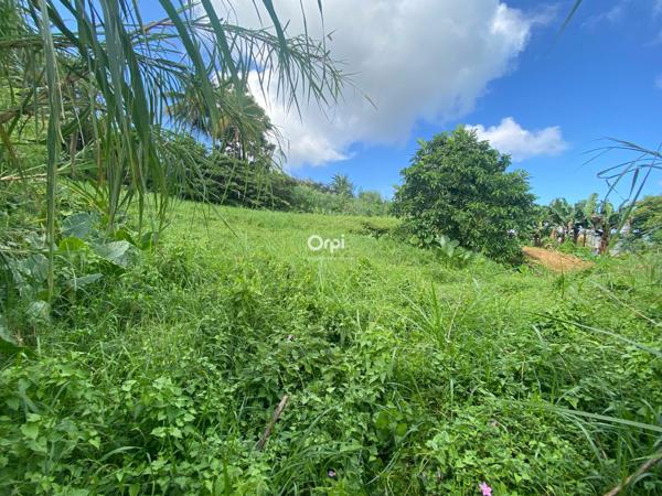 Terrain à vendre    Le Lorrain