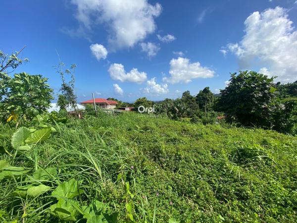 Terrain à vendre    Le Lorrain