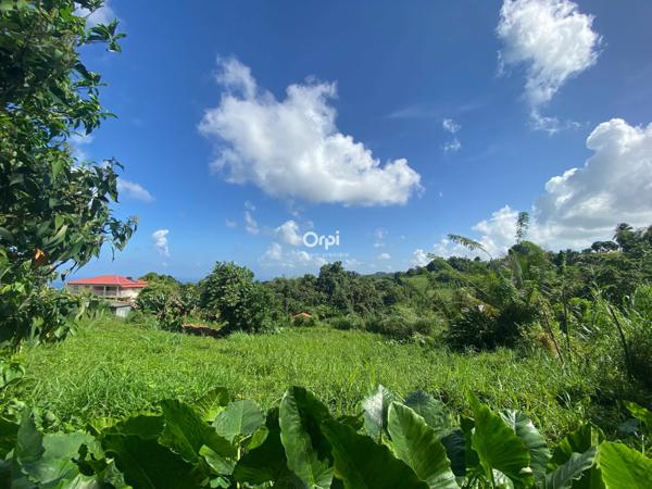 Terrain à vendre    Le Lorrain