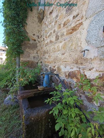 Fermette 10 pièces - grande grange - Rare à SAINT VICTOR MONTVIANEIX (63550) en Auvergne-Rhône Alpes