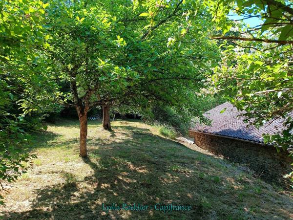 Fermette 10 pièces - grande grange - Rare à SAINT VICTOR MONTVIANEIX (63550) en Auvergne-Rhône Alpes