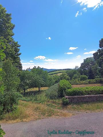Fermette 10 pièces - grande grange - Rare à SAINT VICTOR MONTVIANEIX (63550) en Auvergne-Rhône Alpes