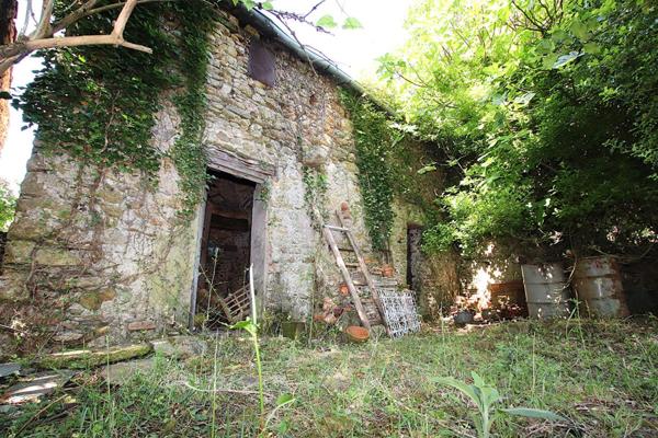 RARE - Demeure de caractère de 300 m² à rénover sur 5 385 m² de terrain