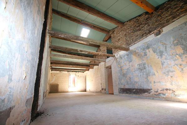 RARE - Demeure de caractère de 300 m² à rénover sur 5 385 m² de terrain