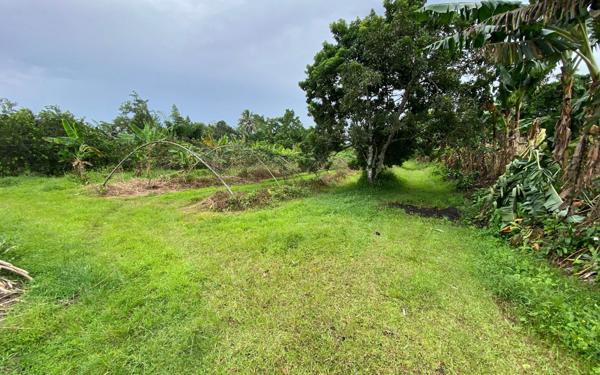 Terrain à vendre    Basse-Pointe