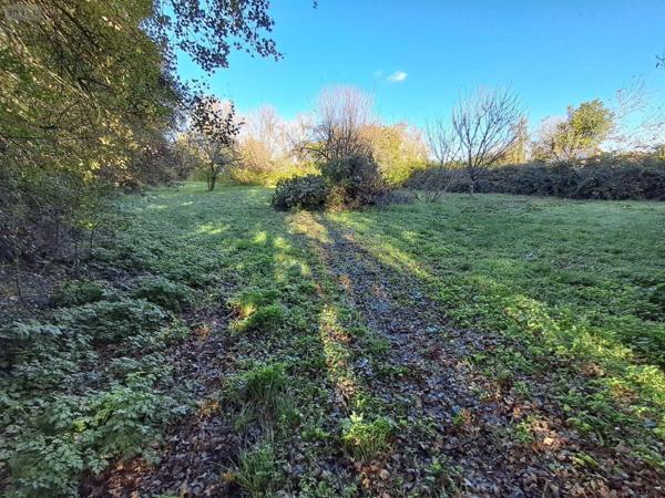 Maison individuelle à vendre à Aigrefeuille-d'Aunis en Charente-Maritime (17290), ref : 601