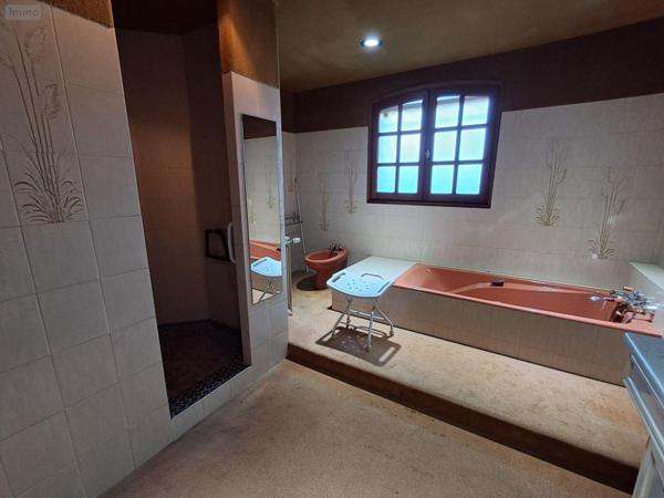 Maison individuelle à vendre à Aigrefeuille-d'Aunis en Charente-Maritime (17290), ref : 601