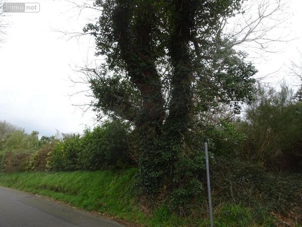 Terrain à Batir à vendre à Saint-Renan dans le Finistère (29290), ref : 29058-1680