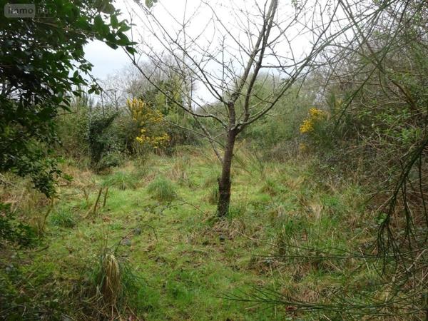 Terrain à Batir à vendre à Saint-Renan dans le Finistère (29290), ref : 29058-1680