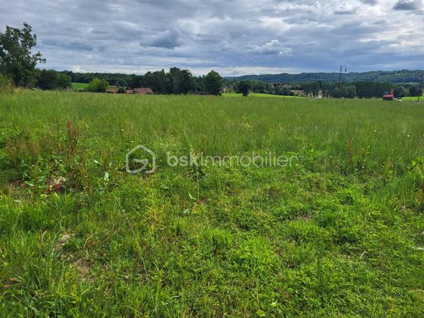 A saisir Terrain constructible viabilisé de 1335 m²
Dans le GERS, Joli terrain en position dominante de 1335 m² constructible à 4 kms du centre ville d’Aire sur Adour proche Barcelonne du Gers avec vue sur les Pyrénées

Terrain à bâtir  situé à 5 minutes du centre et de toutes les commodités d'une ville offrant tous les services (écoles, collège, lycée, Polyclinique etc.....), il est prêt à accueillir vos projets de constructions (Libre choix du constructeur )

Terrain viabilisé en bordure de route (eau et électricité) et étude des sols réalisée.
Petit quartier de 5 lots (dernier lot à vendre).

Avantage pour primo accédant

Mer et montagne à 1H15 min

Contactez Frédéric CLEDES BSK Immobilier pour vous organiser une visite.