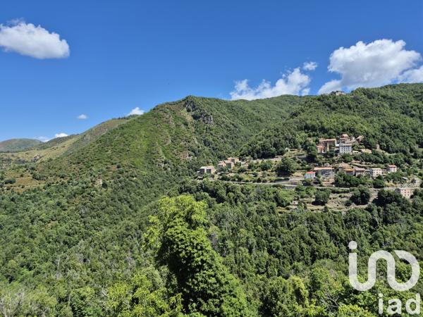 Maison à vendre 5 pièces 56 m² Sant'Andréa-di-Bozio