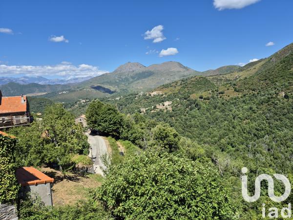 Maison à vendre 5 pièces 56 m² Sant'Andréa-di-Bozio