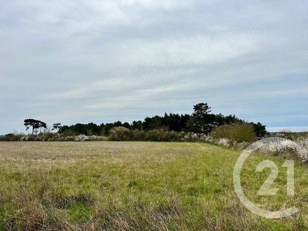 Terrain à vendre  274 m2 GIVRAND - 85