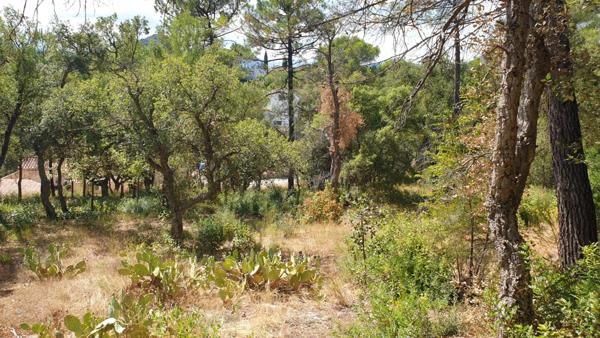 Parcelle de terrain à bâtir de 2656 m2