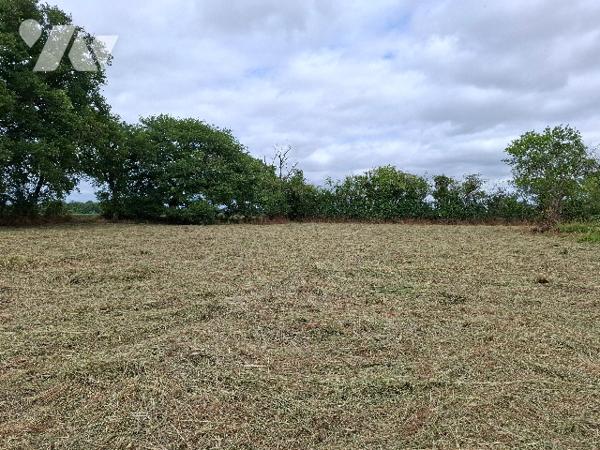 LONGERE à restaurer