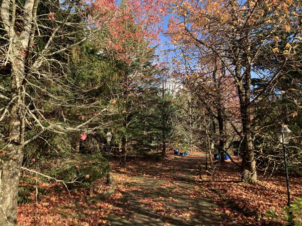 Maison 5 pièces - 163 m² Exclusivité efficity