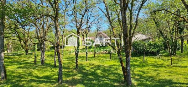 Propriété - 8 chambres - Écrin de verdure - Lot 46