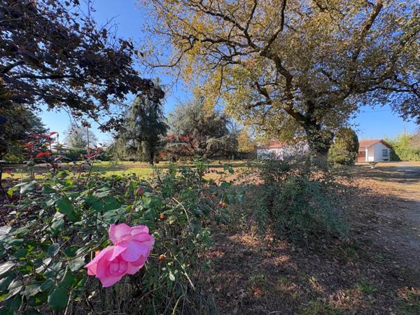 Maison à vendre 4 pièces 160M2 AIRE SUR L'ADOUR (40)