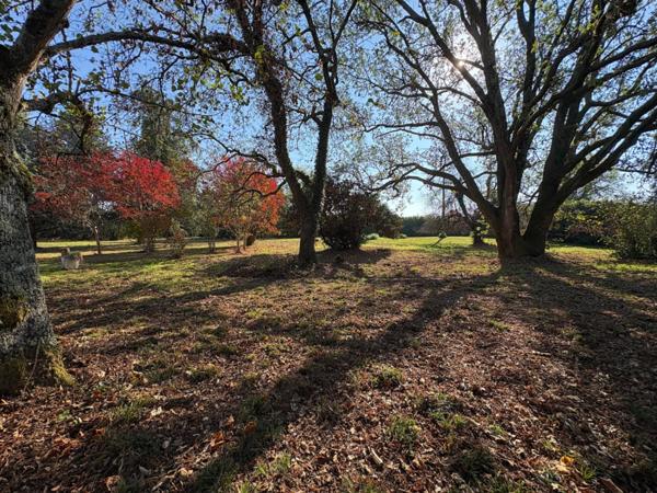 Maison à vendre 4 pièces 160M2 AIRE SUR L'ADOUR (40)