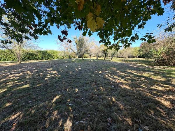 Maison à vendre 4 pièces 160M2 AIRE SUR L'ADOUR (40)