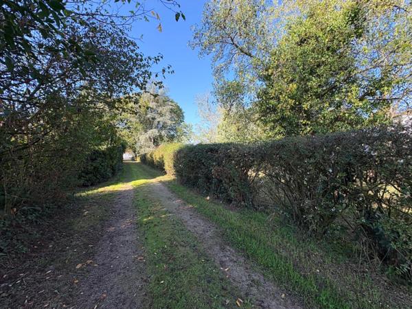 Maison à vendre 4 pièces 160M2 AIRE SUR L'ADOUR (40)