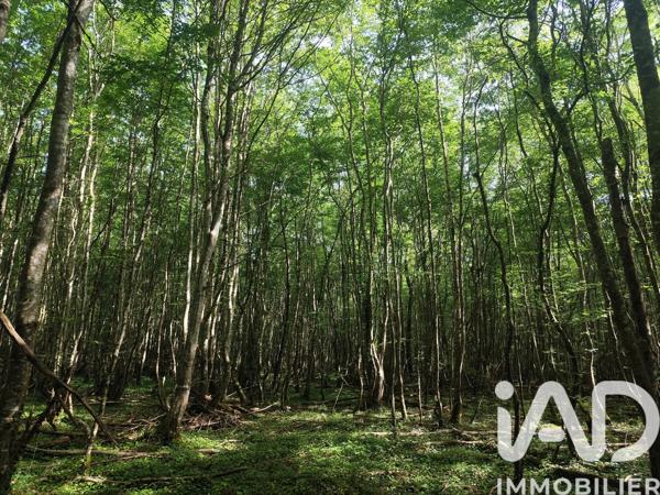 Terrain à vendre 82 500 m² Châteauneuf-Val-de-Bargis
